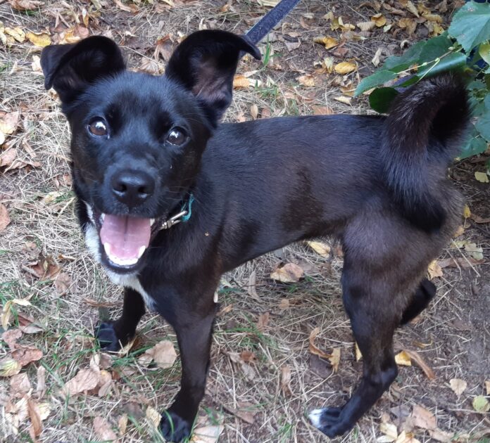 547032641_1204077108432798_490101957583456103_n