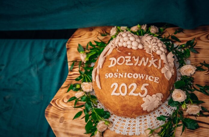 548747192_1200281348810530_5841111220584105752_n