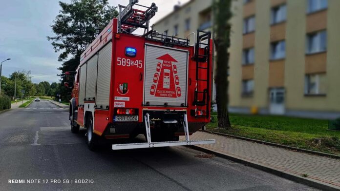 550277658_1138559288459613_6100996493755059405_n