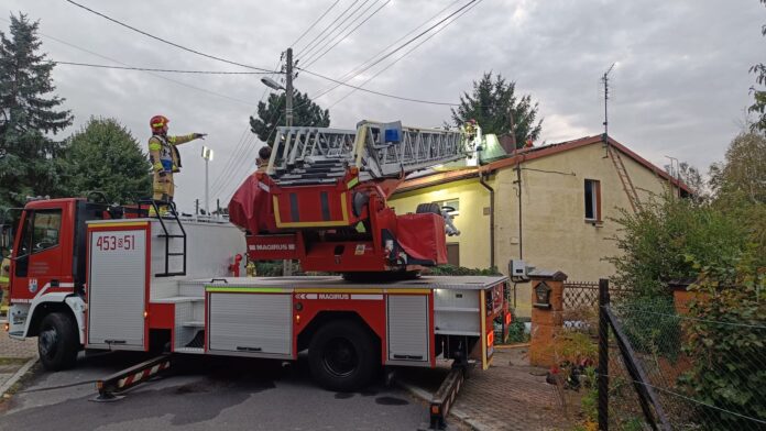 FB_IMG_1758910185116