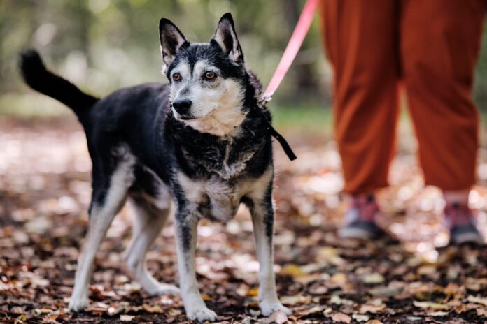 557416247_1225892766251232_1978762012367266824_n