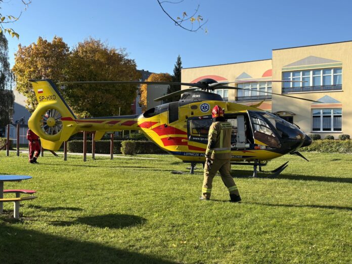 564736484_803808355688315_5313530207616753892_n