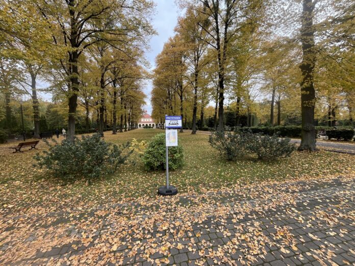 568638417_1205701304944926_9147730505309581667_n