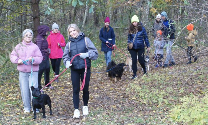 571110110_1210693981112325_3347026923028500169_n