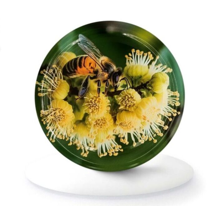 574315525_1265167862310024_5090480820366834213_n