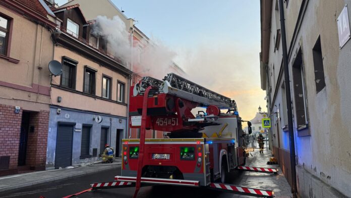 574553835_1255403683394773_664207067703684926_n