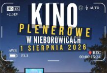 Nieborowice: Kino plenerowe w Nieborowicach. Spektakle i filmowe hity pod gwiazdami