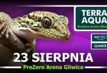 Gliwice: Egzotyczny świat fauny i flory w PreZero Arenie Gliwice.Terra Aqua już 23 sierpnia