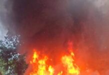 Gliwice: Pożar domków letniskowych w Niewieszy