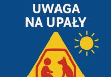 Policja apeluje o rozwagę. Upały zwiększają zagrożenie na drogach