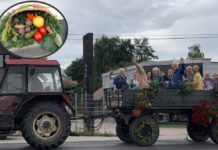 Gliwice: 🌾 Dożynkowy korowód przejdzie ulicami Żernik