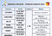 Gmina Pilchowice: 🏡 Co powinno zostać zrealizowane w Waszym sołectwie w 2027 roku?