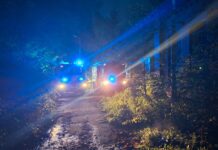 Przyszowice: 🚨 Interwencje 67, 68, 69/2026 🚨