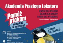 Pyskowice: 🐦 Akademia Ptasiego Lokatora startuje już w najbliższy piątek!