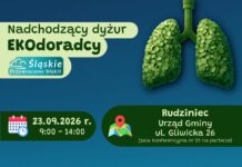 Gmina Rudziniec: Zastanawiasz się nad ogrzewaniem domu, możliwościami uzyskania dotacji lub wykorzystaniem odnawialnych źródeł energii?