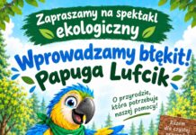 Gierałtowice: 🌿🦜 Ekologiczne pożegnanie lata w Gierałtowicach! 🌞