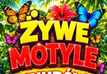 Knurów: Zobacz żywe motyle z bliska