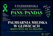 Gliwice: Gliwicka Palmiarnia i „Tańczące Fauny” rozbłysną na zielono dla dzieci chorych na PANS i PANDAS
